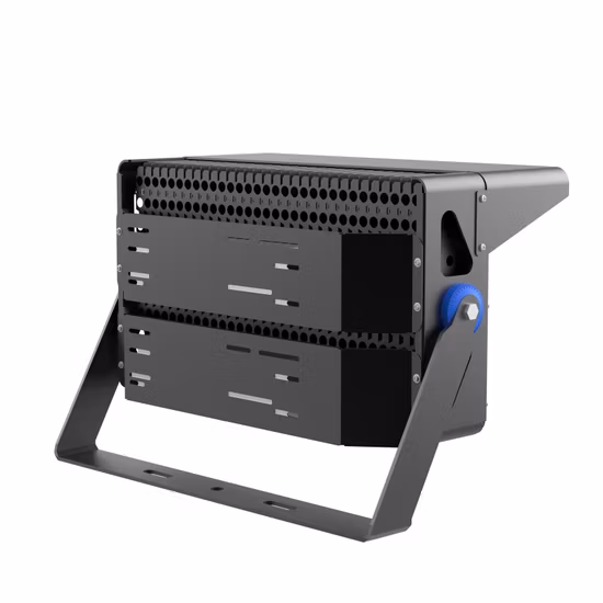 Éclairage pivoine 500W